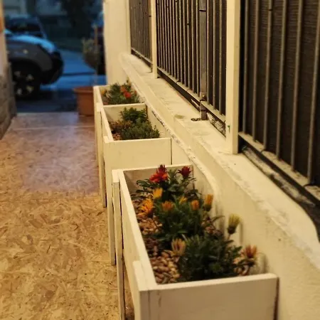 Appartement Bibliososta Anche Al 1° Piano Anno 2024 *