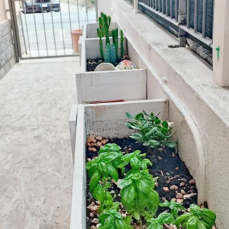 Bibliososta Anche Al 1° Piano Anno 2024 Appartement *