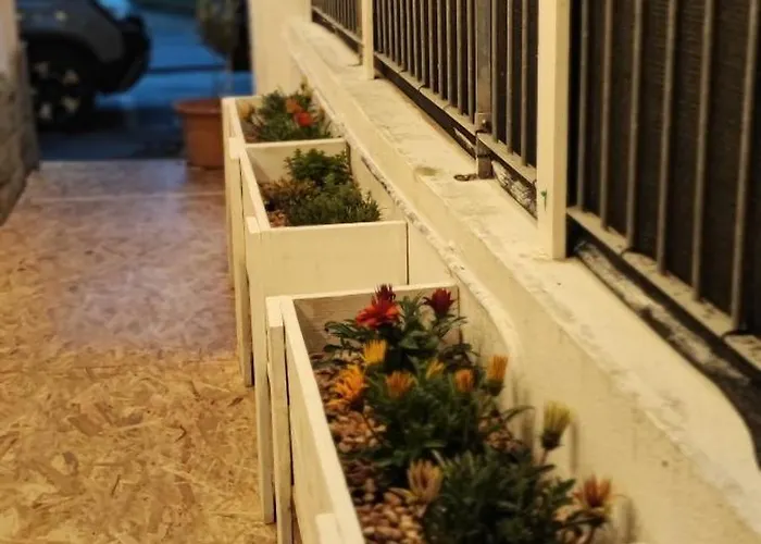 Appartement Bibliososta Anche Al 1° Piano Anno 2024 *